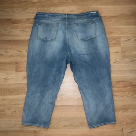 Anthropologie Pilcro and the Letterpress plus size crop jeans size 26W - Picture 12 of 12